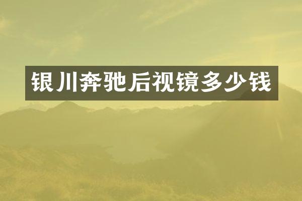 银川奔驰后视镜多少钱