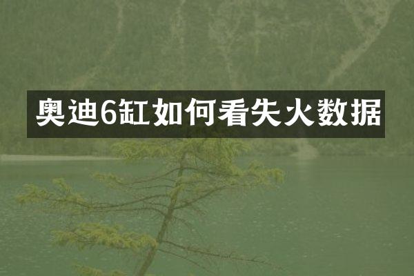 奥迪6缸如何看失火数据