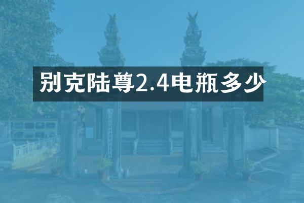 别克陆尊2.4电瓶多少