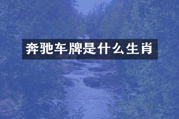 奔驰车牌是什么生肖