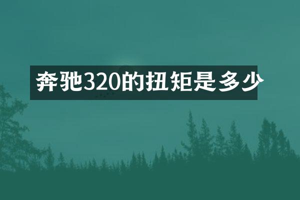 奔驰320的扭矩是多少