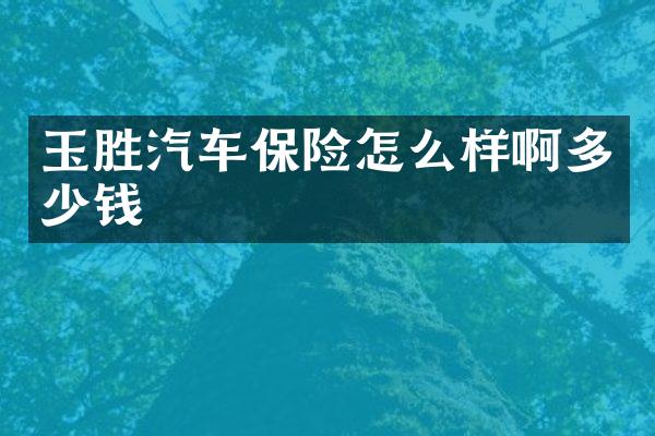 玉胜汽车保险怎么样啊多少钱