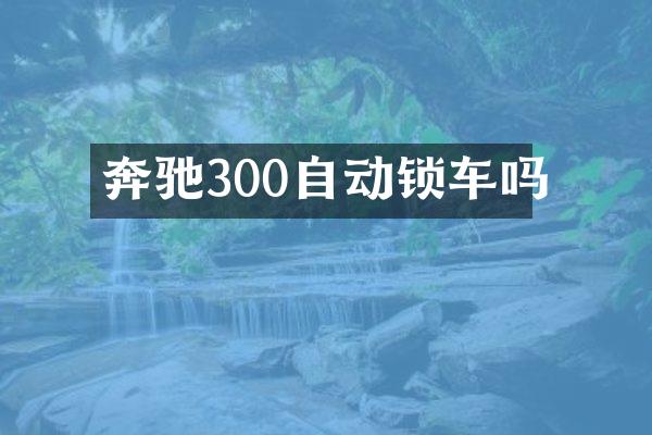 奔驰300自动锁车吗