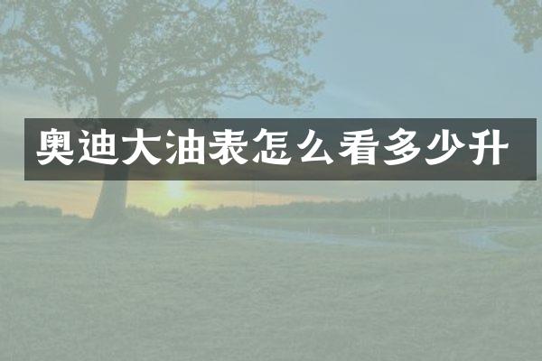 奥迪大油表怎么看多少升