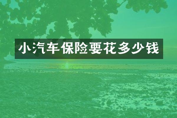 小汽车保险要花多少钱