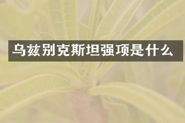 乌兹别克斯坦强项是什么