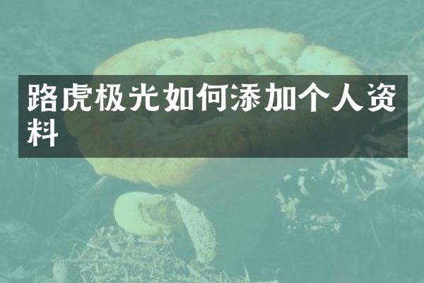 路虎极光如何添加个人资料