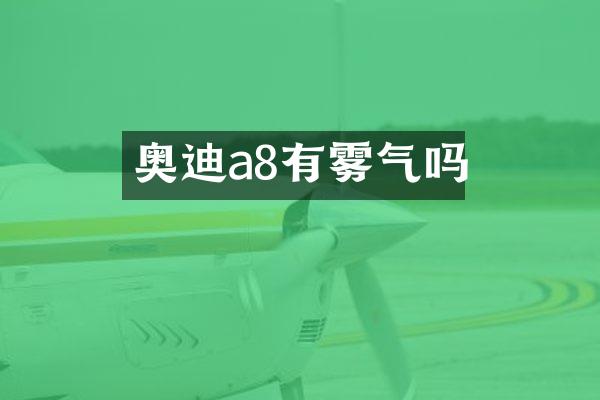 奥迪a8有雾气吗