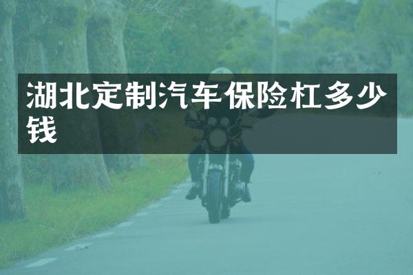 湖北定制汽车保险杠多少钱