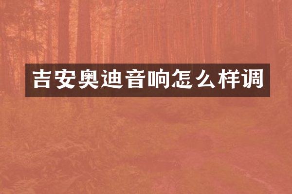 吉安奥迪音响怎么样调