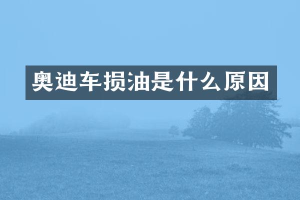 奥迪车损油是什么原因