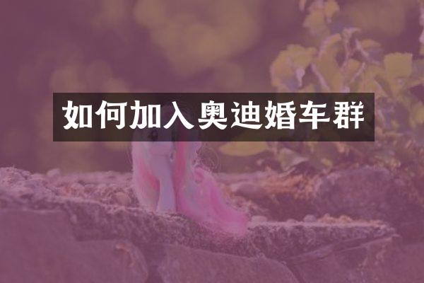如何加入奥迪婚车群