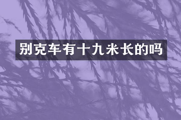 别克车有十九米长的吗