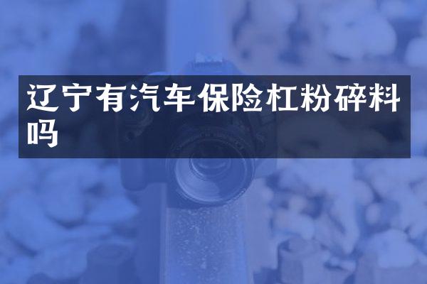 辽宁有汽车保险杠粉碎料吗
