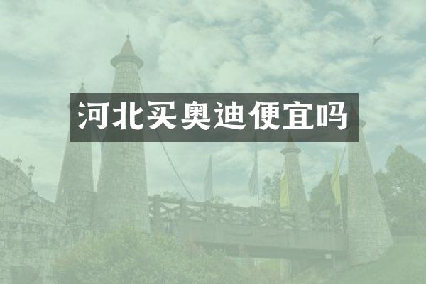 河北买奥迪便宜吗
