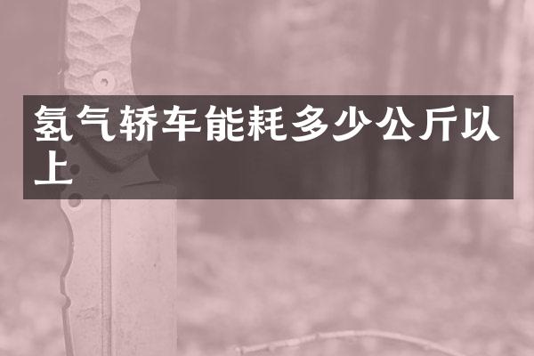 氢气轿车能耗多少公斤以上
