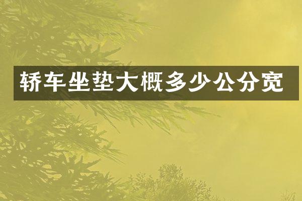 轿车坐垫大概多少公分宽