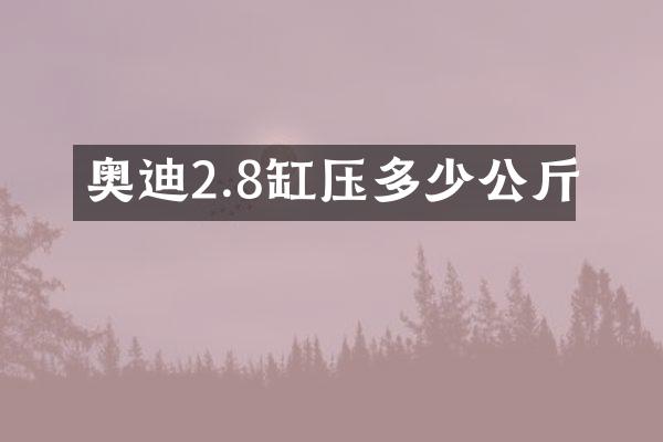 奥迪2.8缸压多少公斤
