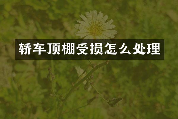 轿车顶棚受损怎么处理