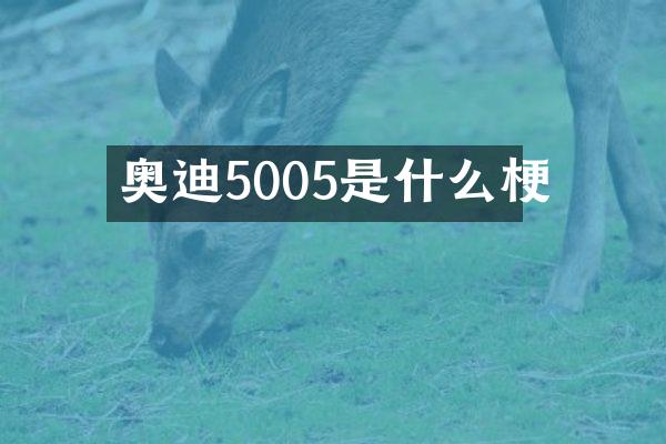 奥迪5005是什么梗