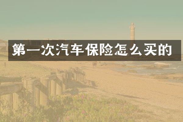 第一次汽车保险怎么买的