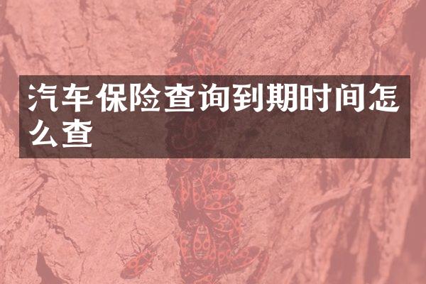 汽车保险查询到期时间怎么查
