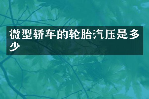 微型轿车的轮胎汽压是多少