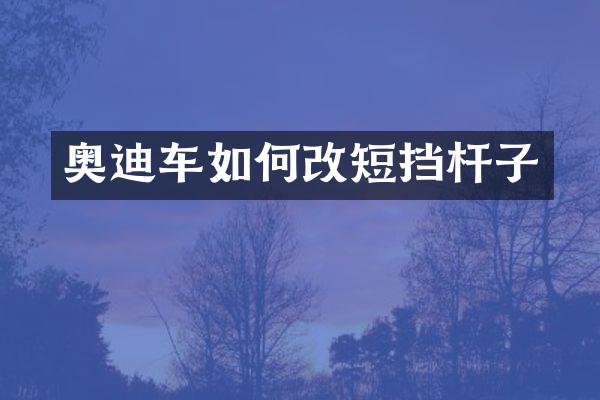 奥迪车如何改短挡杆子