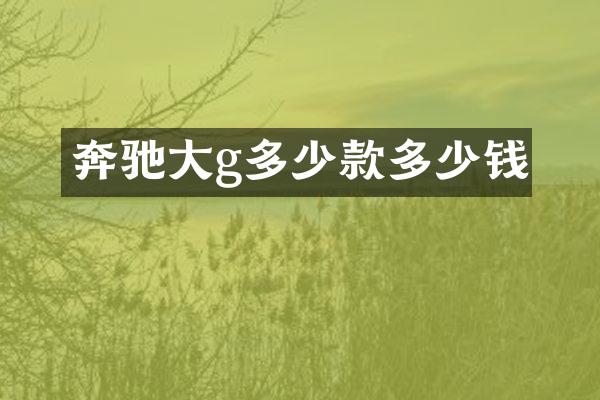 奔驰大g多少款多少钱