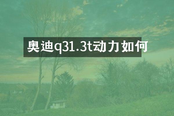 奥迪q31.3t动力如何