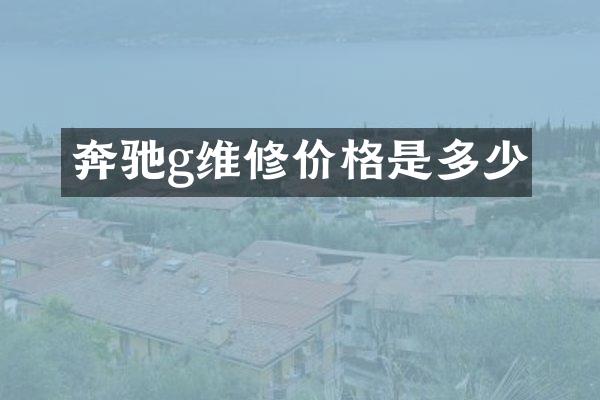 奔驰g维修价格是多少
