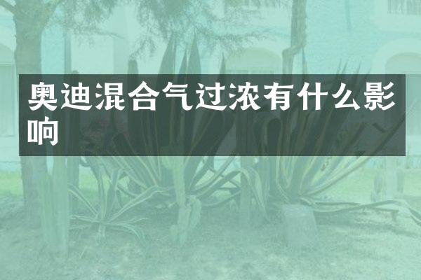 奥迪混合气过浓有什么影响
