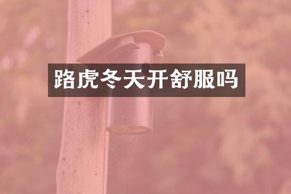 路虎冬天开舒服吗