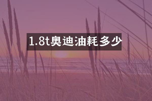 1.8t奥迪油耗多少