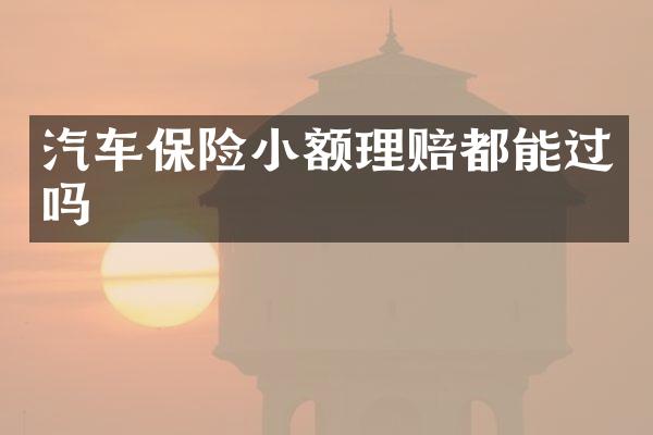 汽车保险小额理赔都能过吗