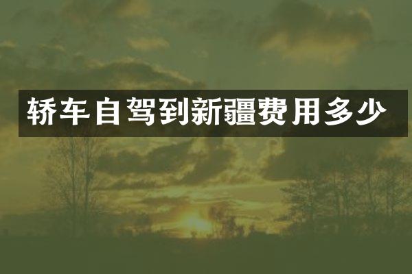 轿车自驾到新疆费用多少