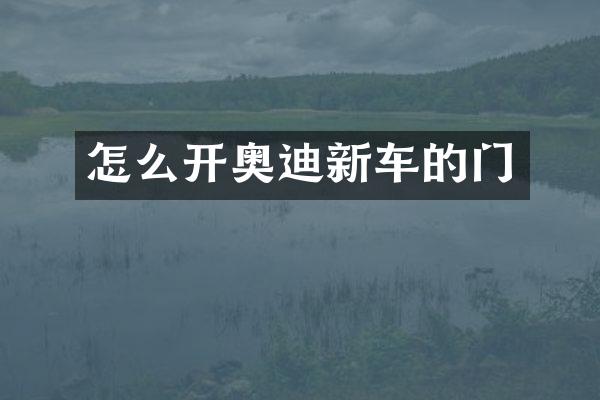 怎么开奥迪新车的门