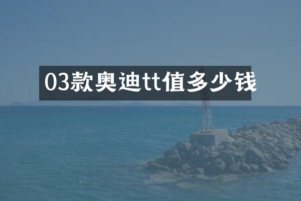 03款奥迪tt值多少钱