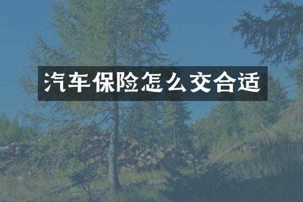 汽车保险怎么交合适