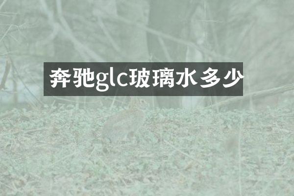 奔驰glc玻璃水多少