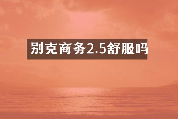别克商务2.5舒服吗