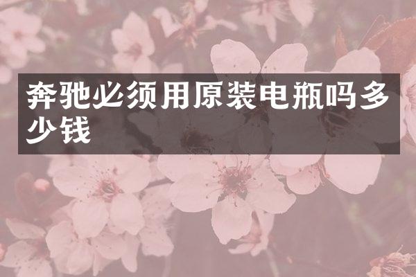 奔驰必须用原装电瓶吗多少钱