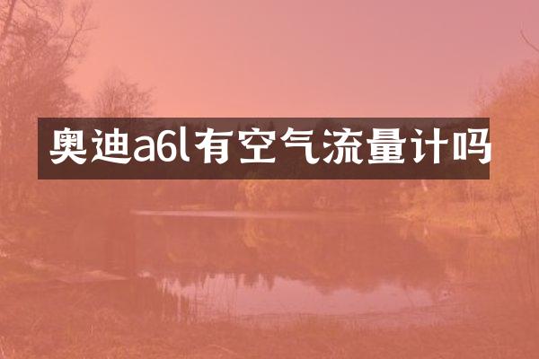 奥迪a6l有空气流量计吗