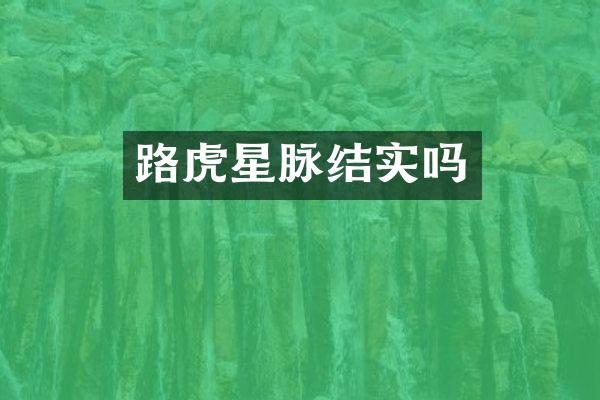 路虎星脉结实吗