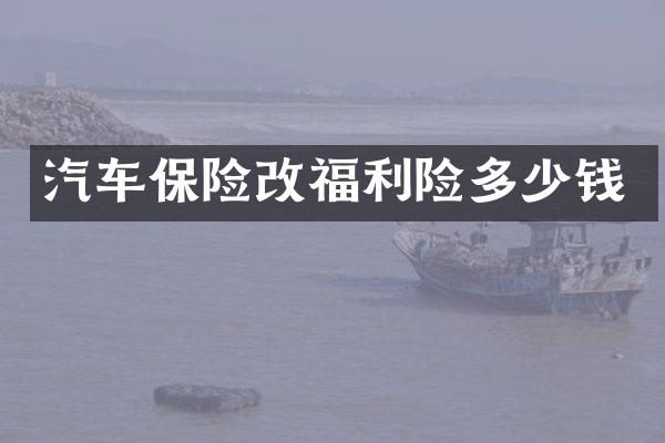 汽车保险改福利险多少钱