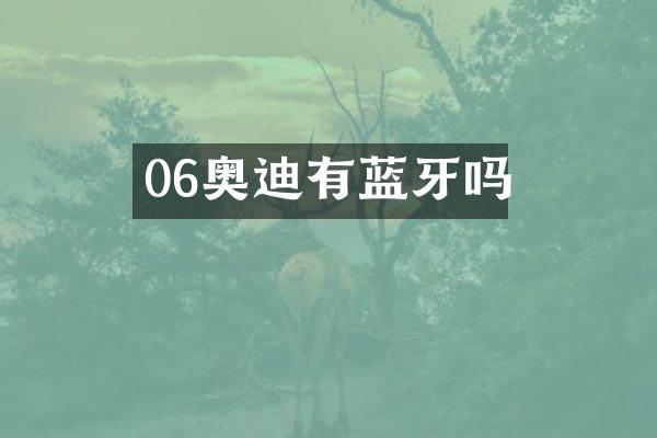 06奥迪有蓝牙吗