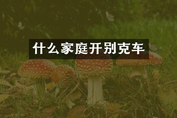 什么家庭开别克车