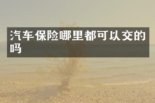 汽车保险哪里都可以交的吗