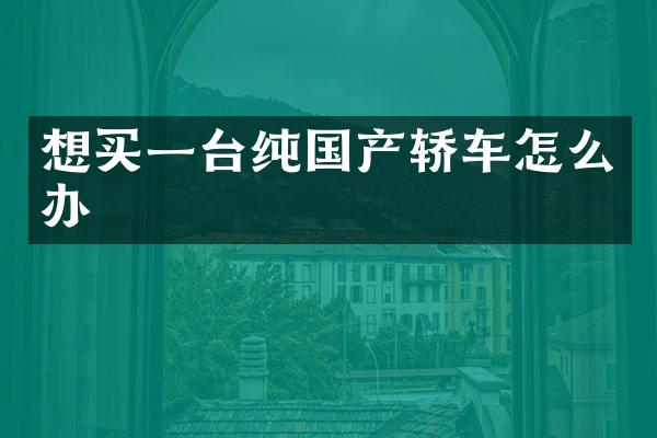 想买一台纯国产轿车怎么办