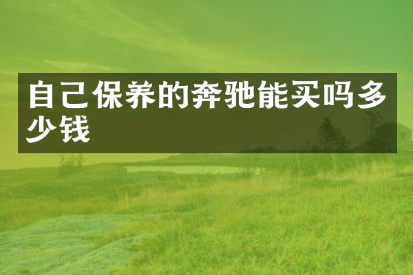 自己保养的奔驰能买吗多少钱